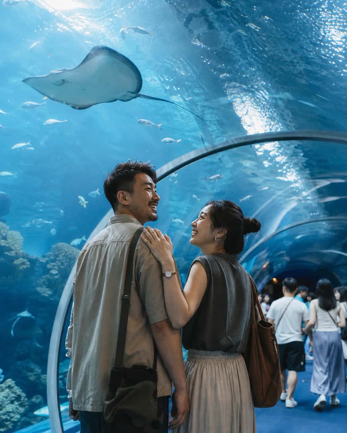 Illustrative brand scene of two adults looking at a stingray beneath an aquarium tunnel; not a member photo or testimonial.